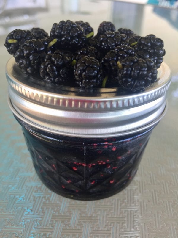 mulberries-on-jamjar-600x800.jpg